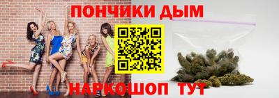 Альфа ПВП Сланцы