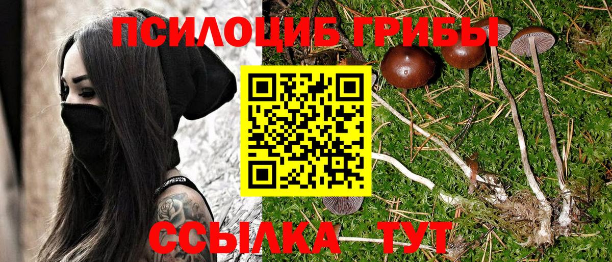 Псилоцибиновые грибы прущие грибы  Галлюциногенные грибы GOLDEN TEACHER  Наро-Фоминск  Вход с VPN 